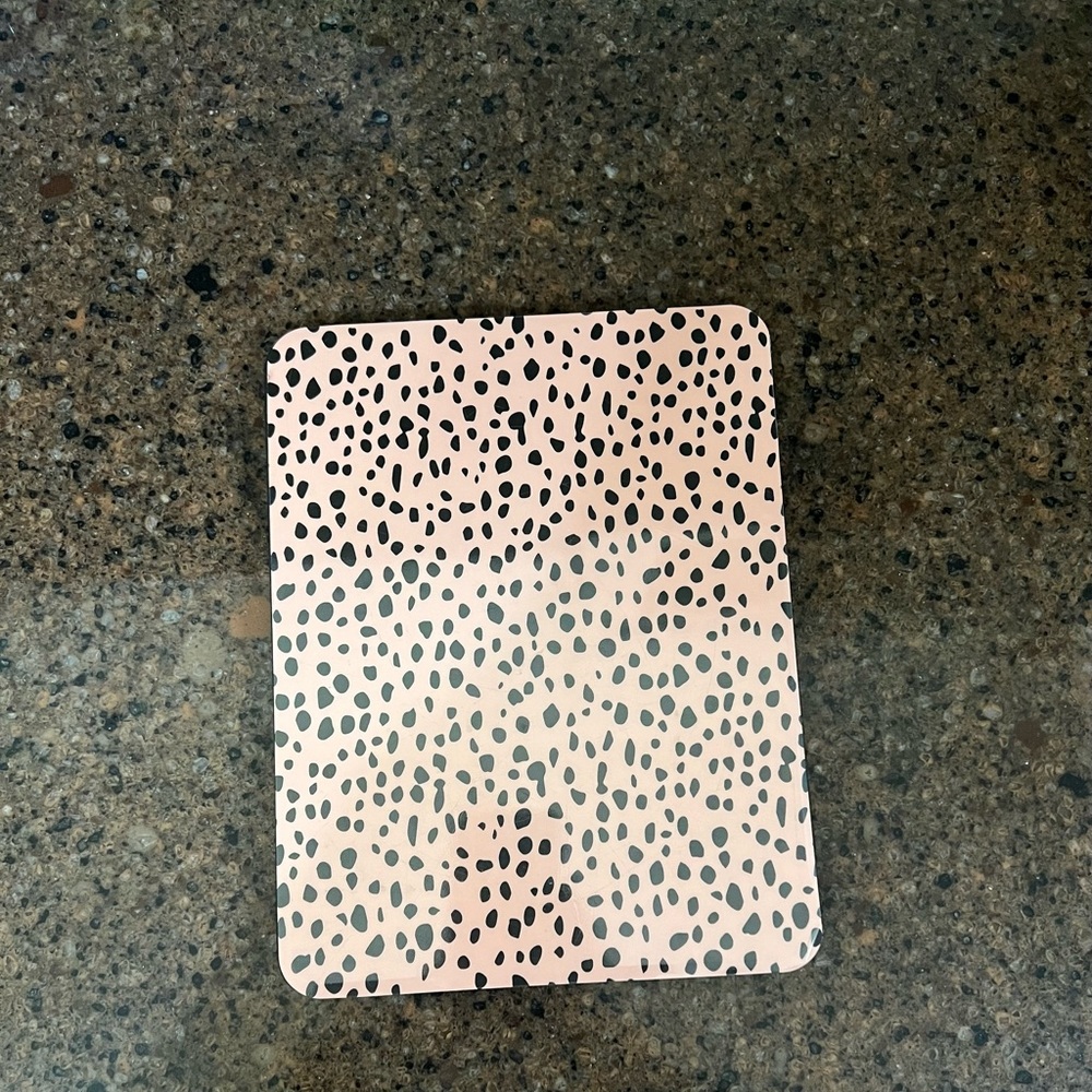 iPad case